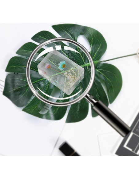 10 Pisapapeles de Resina con Flores Reales JINLISPIN 4.19cm