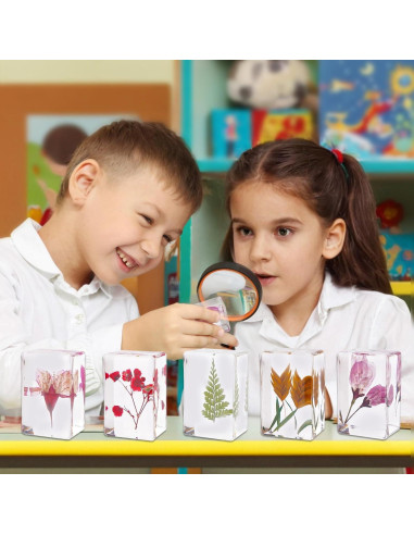 10 Pisapapeles de Resina con Flores Reales JINLISPIN 4.19cm