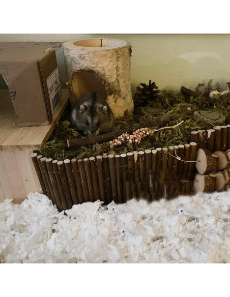 Túnel de Hámster de Madera MUYG, Juguete Natural 12x10x10 cm