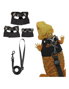 Conjunto Arnés y Correa Dragón Barbudo ADOGGYGO - 3 Tamaños