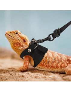 Conjunto Arnés y Correa Dragón Barbudo ADOGGYGO - 3 Tamaños 2