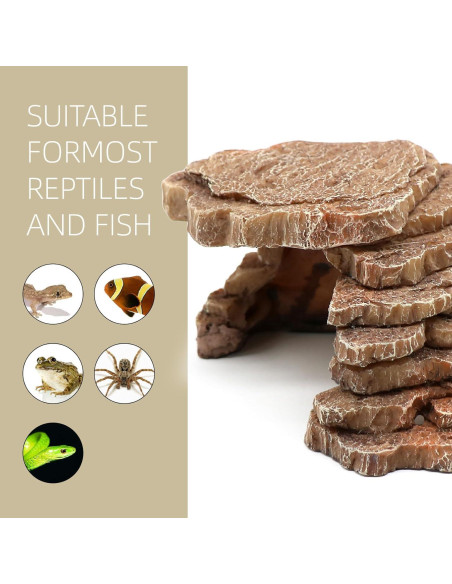Escondite para Reptiles Relaqcc Pequeño 18.5x11.2x7.6cm