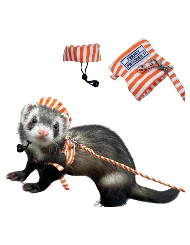 Arnés y Correa Ajustable para Hurón SEZDEKI Naranja