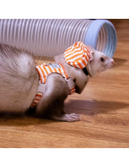 Arnés y Correa Ajustable para Hurón SEZDEKI Naranja