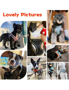 Arnés y Correa para Perros Pequeños PETPUBGNZS Ajustable Negro 2