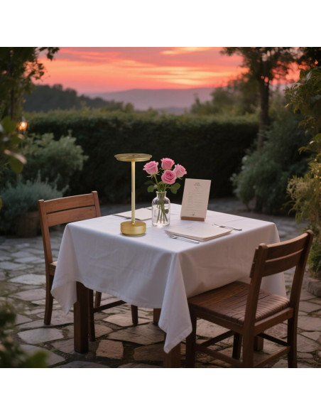 2 Lámparas de Mesa Inalámbricas Recargables FDIDC 5000mAh LED