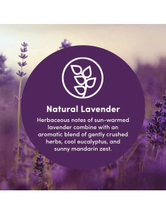 Contenedor Recarga Jabón Espumoso Clean Revolution 3.63kg Lavanda 2