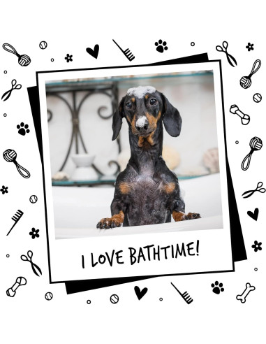 Champú y Acondicionador 2 en 1 Bugalugs 500 ml Papaya y Coco