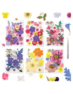 Kit de Flores Secas Prensadas Gvhntk 180 Piezas Coloridas