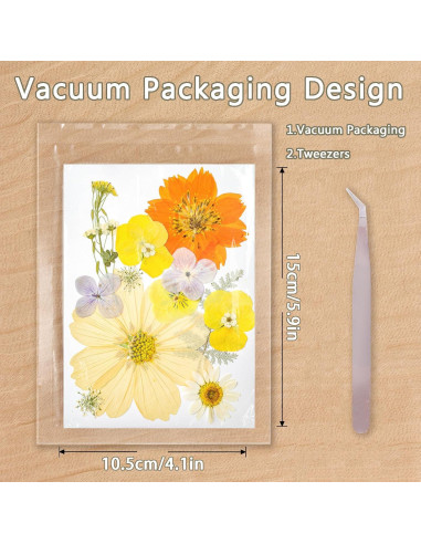 Kit de Flores Secas Prensadas Gvhntk 180 Piezas Coloridas