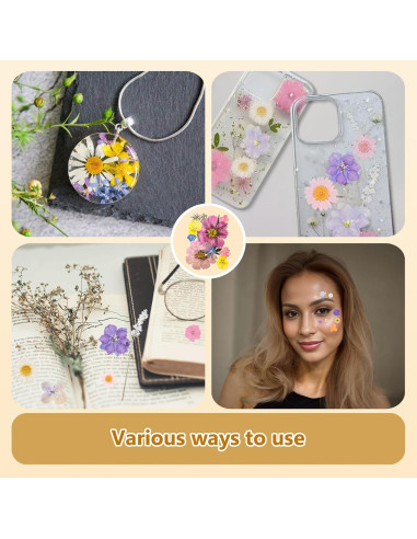 Kit de Flores Secas Prensadas Gvhntk 180 Piezas Coloridas