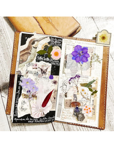 Kit de Flores Secas Prensadas Gvhntk 180 Piezas Coloridas