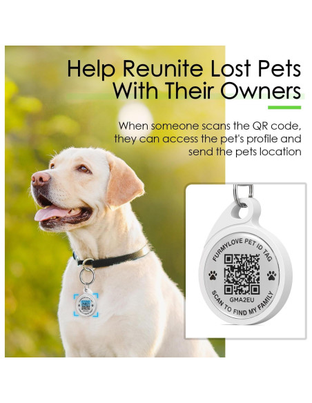 Etiqueta de Perro QR FURMYLOVE Personalizada Verde 3.05x5.84cm