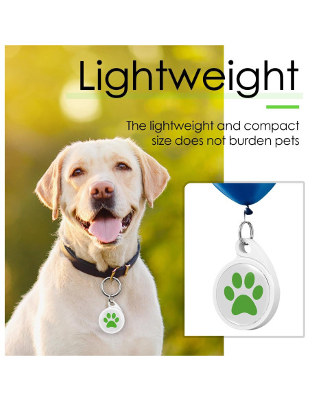 Etiqueta de Perro QR FURMYLOVE Personalizada Verde 3.05x5.84cm