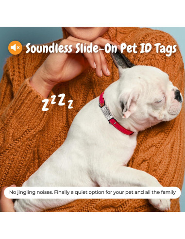 Etiqueta de identificación para mascotas PAWNIMALS con QR