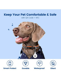 Etiqueta de Identificación para Mascotas PawView QR Silicona Blanca 2