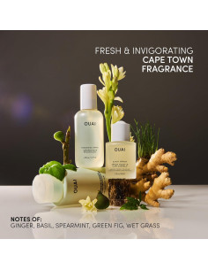 Paquete Ciudad del Cabo OUAI - Spray Engrosador, Suero y Champú Anticaspa 2