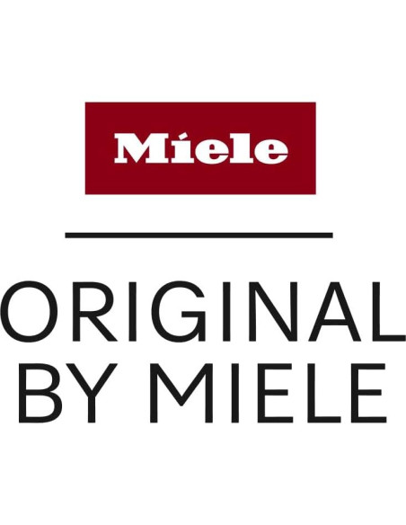 Filtro de AireClean Miele SF-HY 60 para Aspiradoras Boost CX1 Filtro de AireClean Miele SF-HY 60 para Aspiradoras Boost CX1