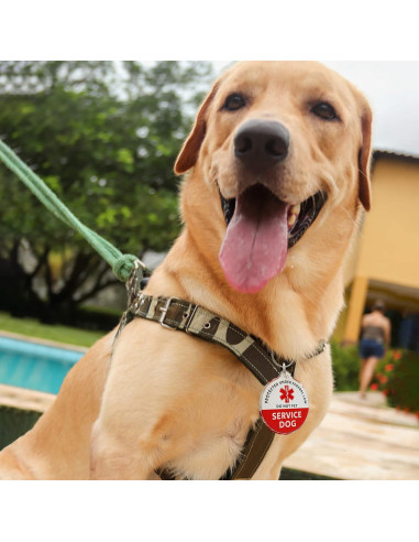 Etiqueta de Identificación Inteligente MYLUCKYTAG QR para Mascotas