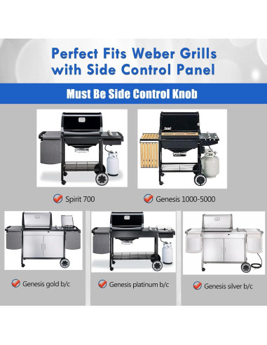 Plancha de Hierro Fundido Grillflame para Parrilla Weber Spirit 200 300