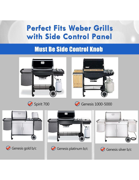 Plancha de Hierro Fundido Grillflame para Parrilla Weber Spirit 200 300