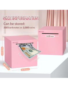 Alcancía Rosa Inabrible de Acero Inoxidable Hizgo 12 cm 2