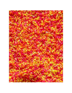 Relleno Sensorial Arroz de Colores Otoño 0.92 kg 2