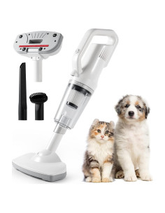 Aspiradora Inalámbrica iPettie 12000 PA para Pelo de Mascotas