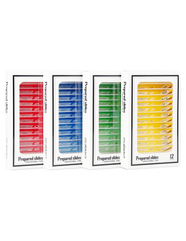 48 Portaobjetos de Microscopio Preparados DIY-SCIENCE EDU