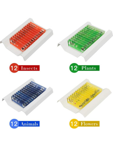 48 Portaobjetos de Microscopio Preparados DIY-SCIENCE EDU