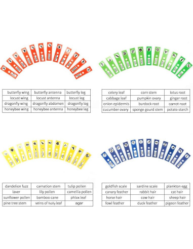 48 Portaobjetos de Microscopio Preparados DIY-SCIENCE EDU