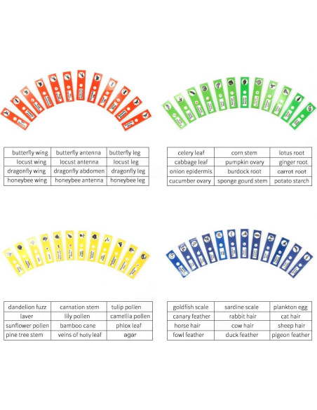 48 Portaobjetos de Microscopio Preparados DIY-SCIENCE EDU