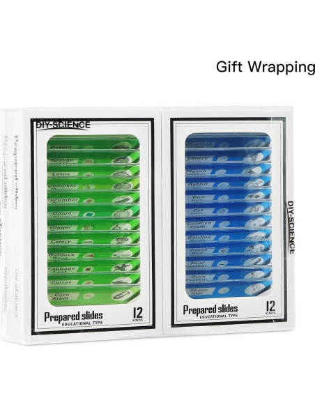 48 Portaobjetos de Microscopio Preparados DIY-SCIENCE EDU