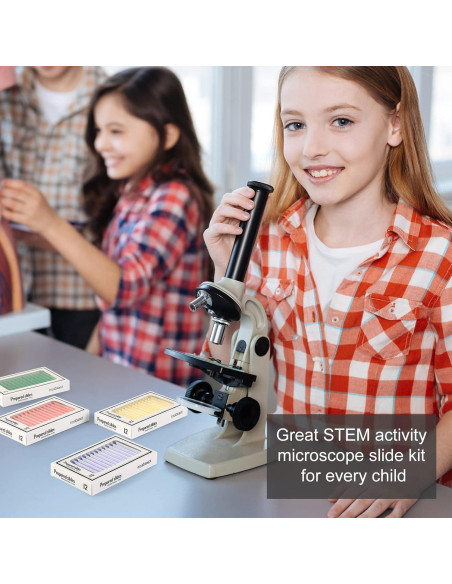 48 Portaobjetos de Microscopio Preparados DIY-SCIENCE EDU