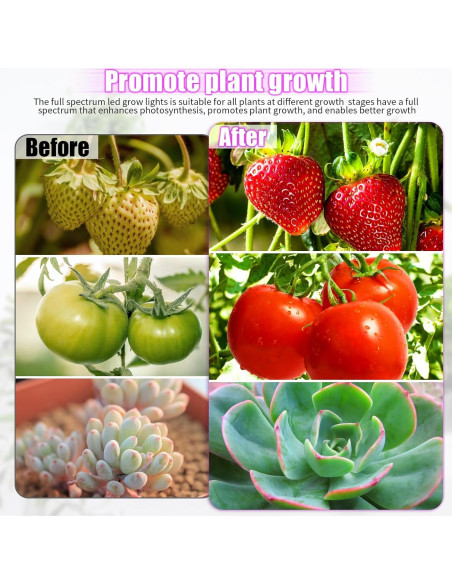Luces de Cultivo LED WIDICOKO 4 Cabezas Espectro Completo 10 Niveles