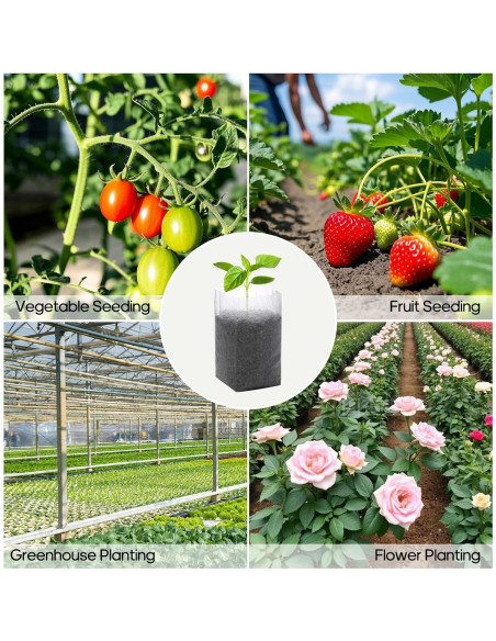 Bolsas de Crecimiento Biodegradables DFKPVBHB 200pcs 14x16cm