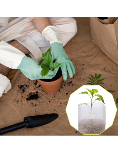 100 Bolsas de Crecimiento Aeaocvo para Plántulas 6x7x12cm