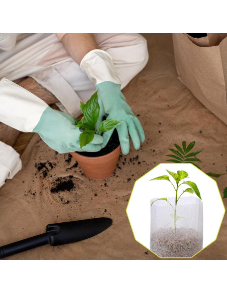 100 Bolsas de Crecimiento Aeaocvo para Plántulas 6x7x12cm