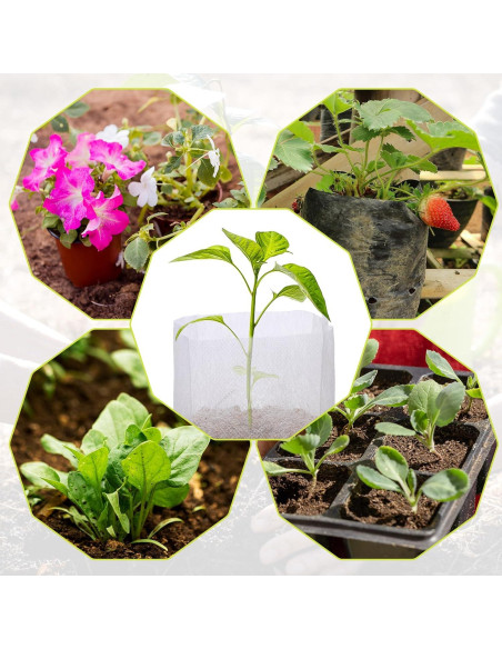 100 Bolsas de Crecimiento Aeaocvo para Plántulas 6x7x12cm