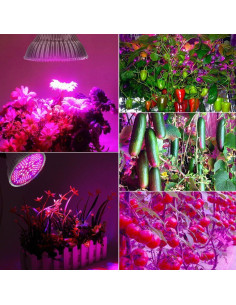 Paquete de 2 Bombillas LED de Crecimiento 100W HighydroLED E26 2