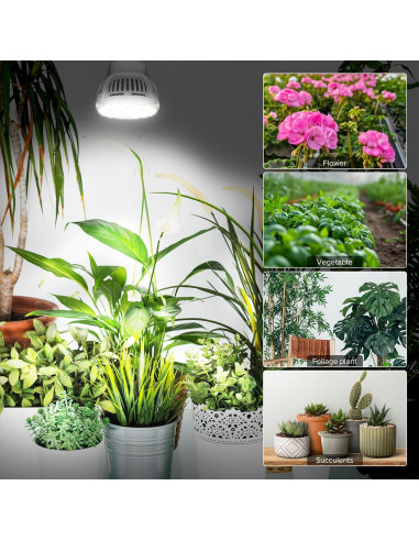 Bombillas LED de Crecimiento SGLEDs A15 7W Espectro Completo 3P