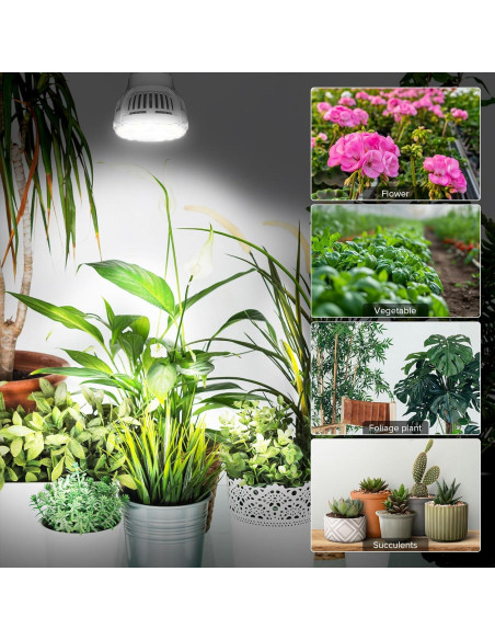 Bombillas LED de Crecimiento SGLEDs A15 7W Espectro Completo 3P