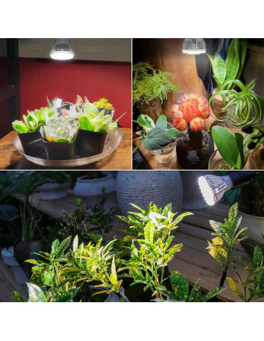 Bombillas LED de Crecimiento SGLEDs A15 7W Espectro Completo 3P