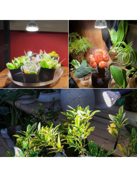 Bombillas LED de Crecimiento SGLEDs A15 7W Espectro Completo 3P