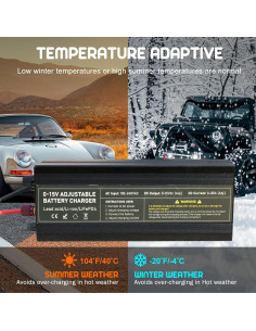 Cargador de Batería Inteligente Capacity.Li 85A 14.6V LiFePO4 2