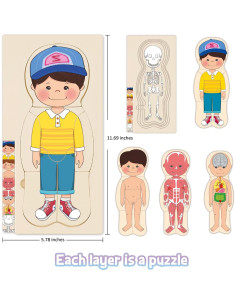 Rompecabezas de Madera Anatomía MoinKidz 5 Capas 29.7x14.7cm 2