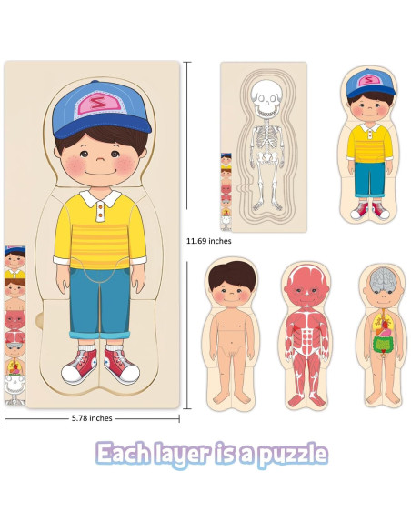 Rompecabezas de Madera Anatomía MoinKidz 5 Capas 29.7x14.7cm