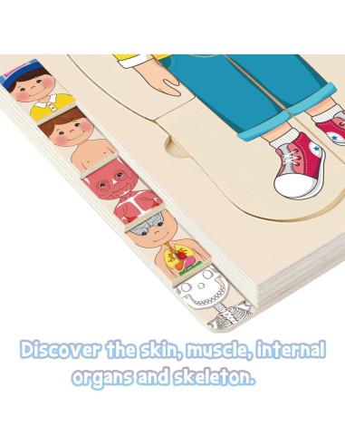 Rompecabezas de Madera Anatomía MoinKidz 5 Capas 29.7x14.7cm