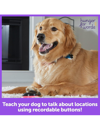 Botones de Habla para Mascotas Hambre Por Palabras - Set de 3