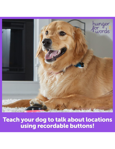 Botones de Habla para Mascotas Hambre Por Palabras - Set de 3 Botones de Habla para Mascotas Hambre Por Palabras - Set de 3